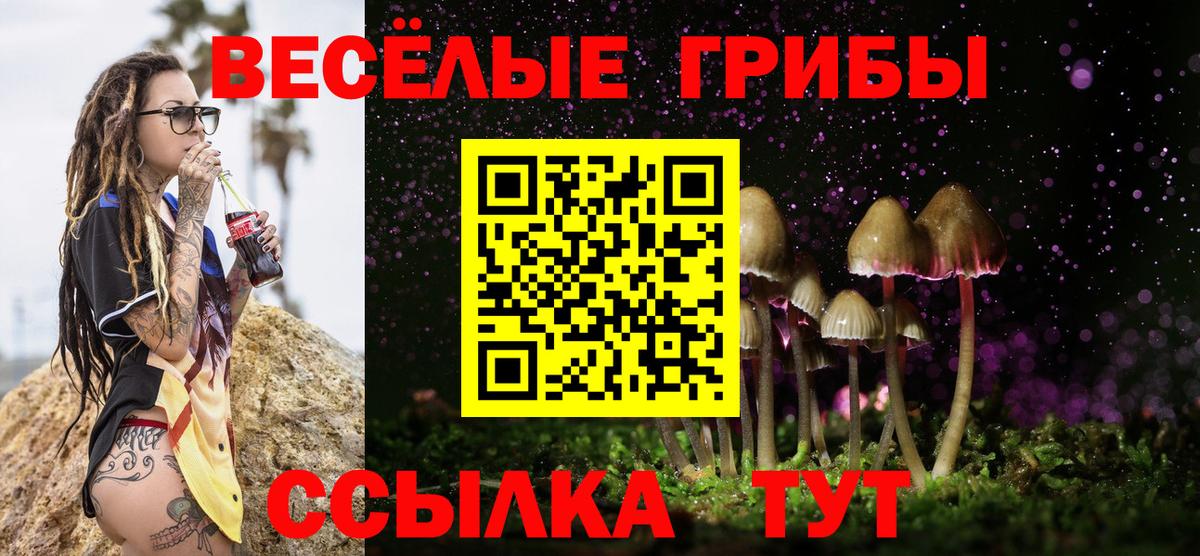 Галлюциногенные грибы Magic Shrooms Ипатово
